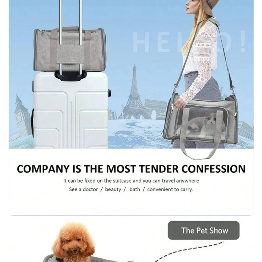 Foldable Gray Small Pet Carrier